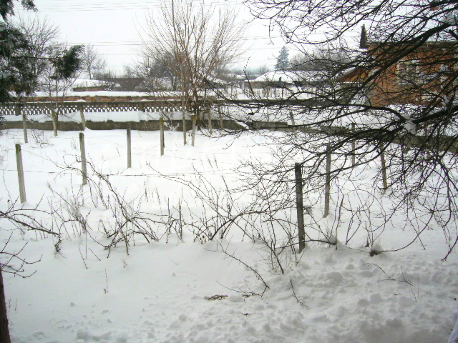 Gallery Picture 27
