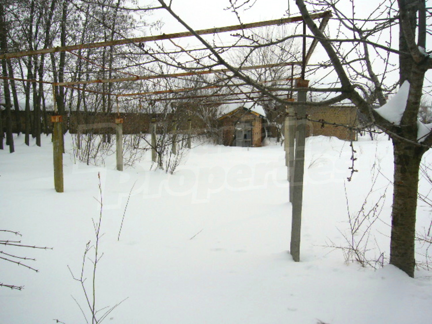 Gallery Picture 29
