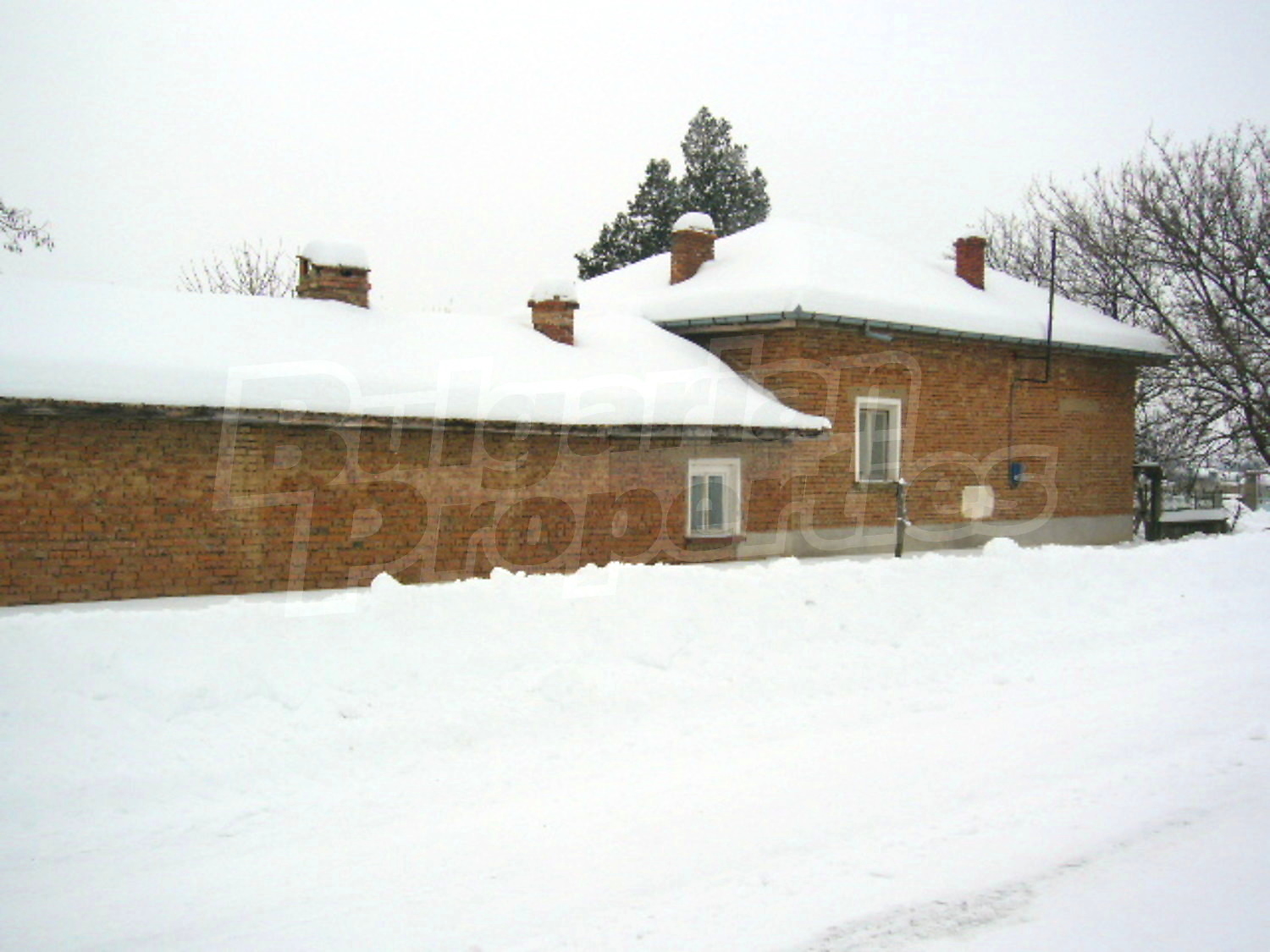 Gallery Picture 6