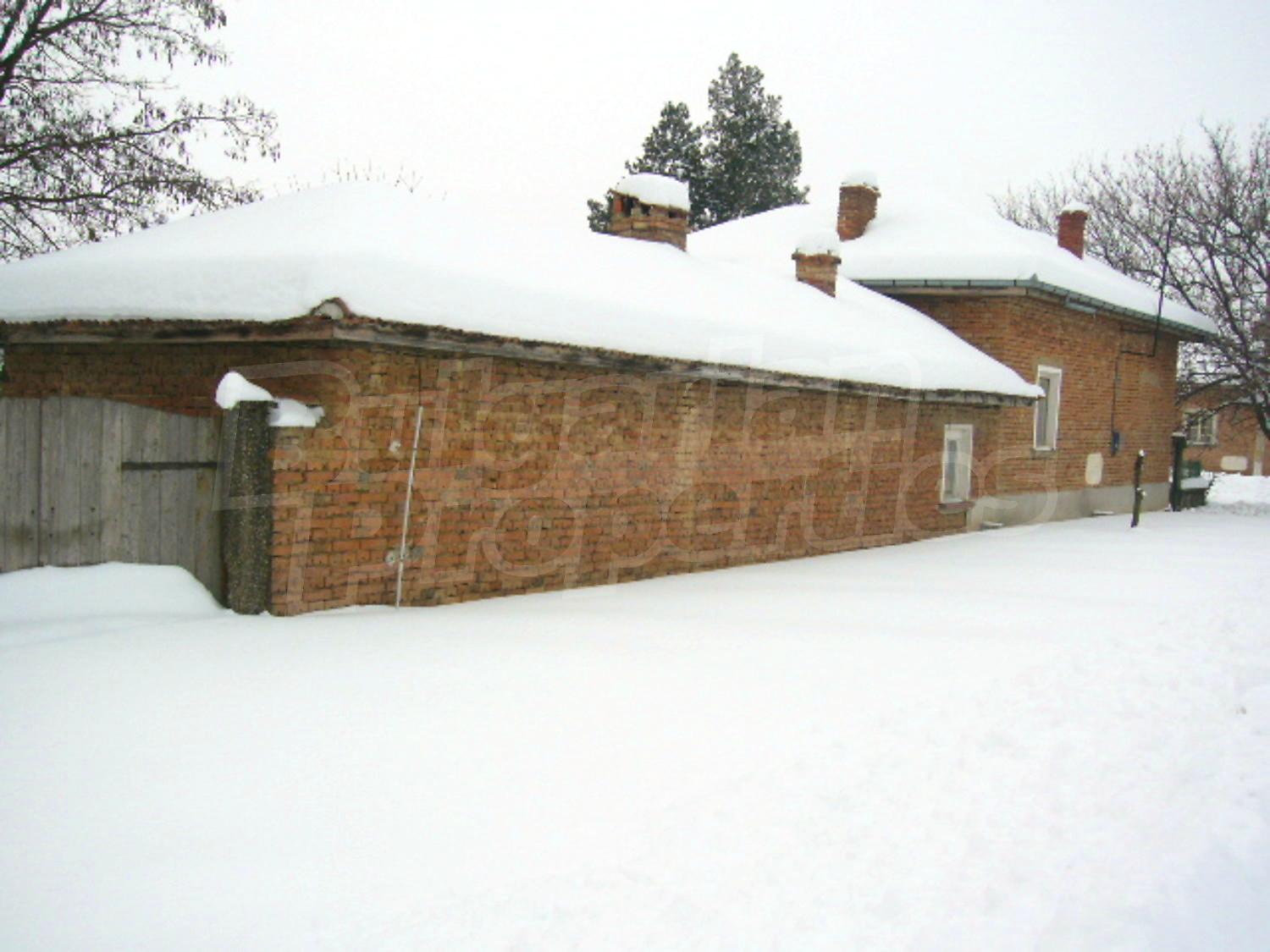 Gallery Picture 9
