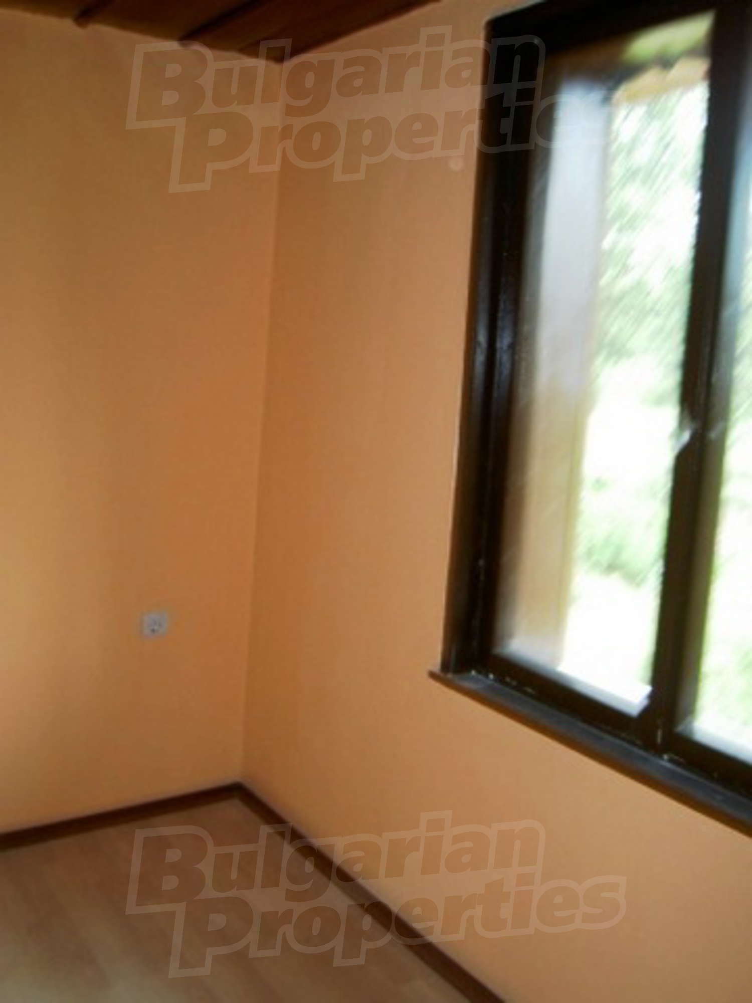 Gallery Picture 10