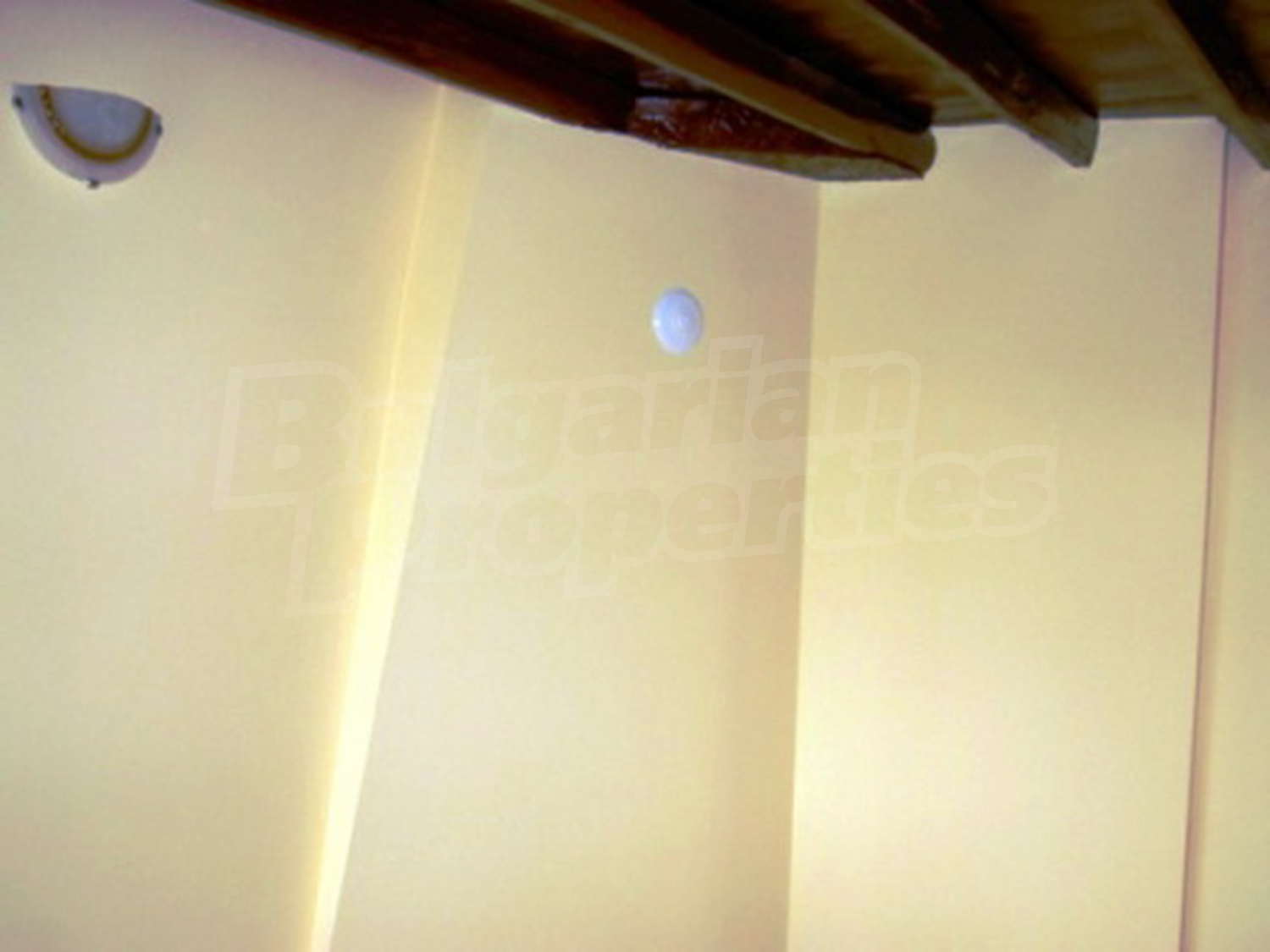 Gallery Picture 8