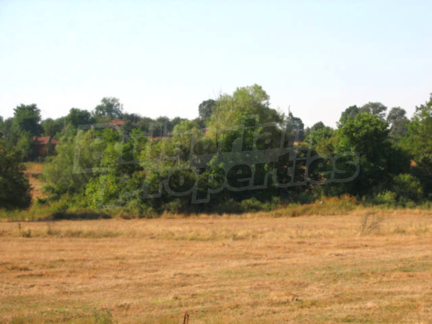 Gallery Picture 5