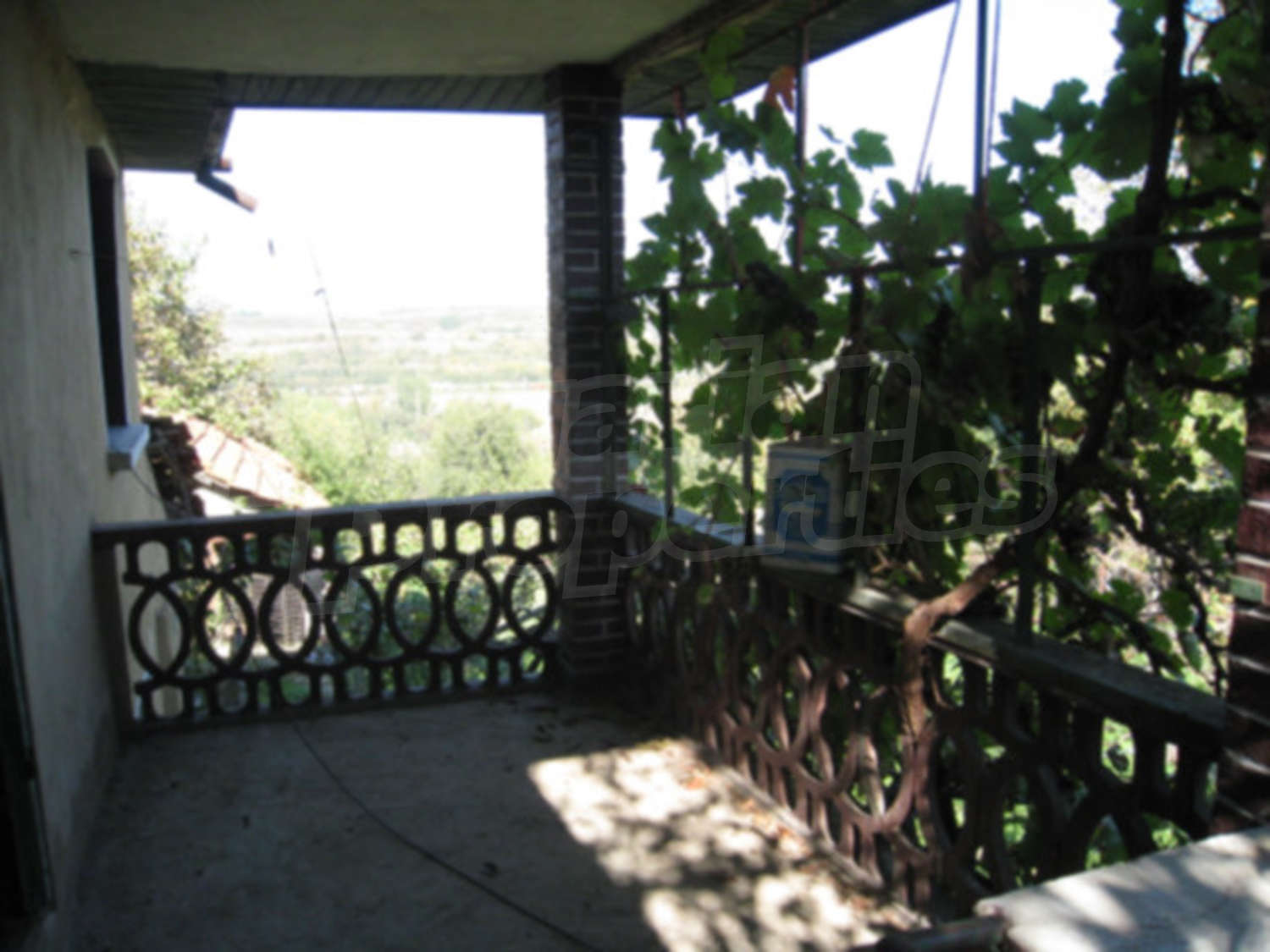 Gallery Picture 10