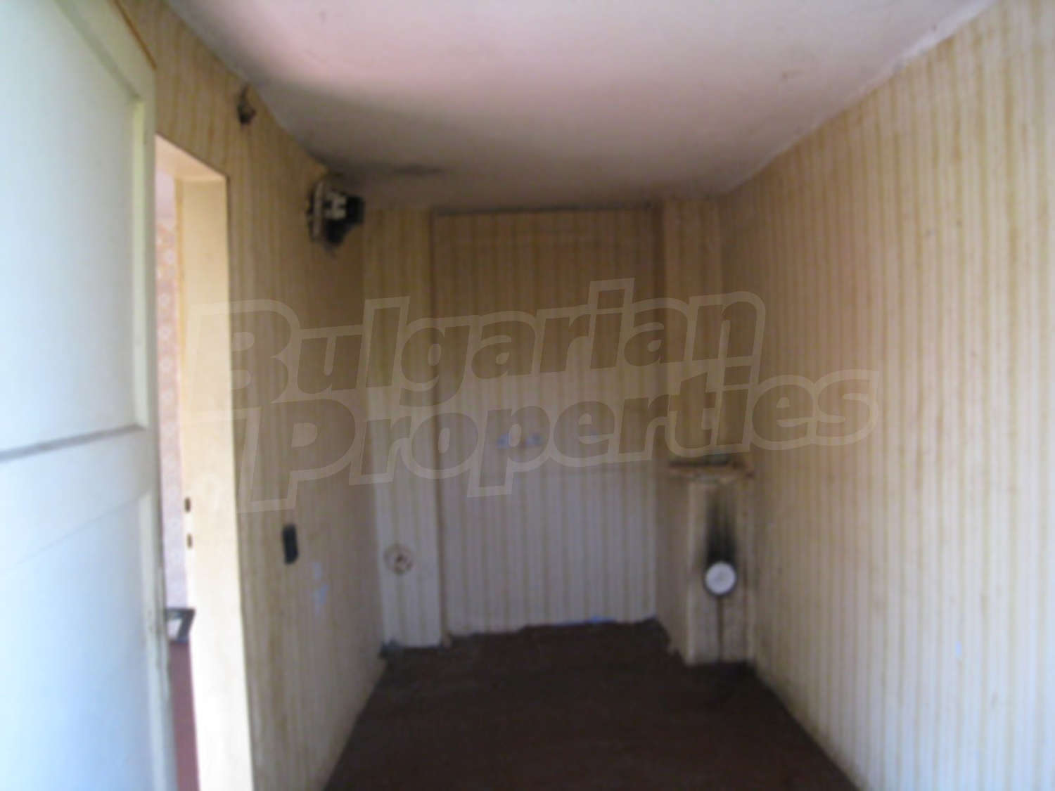 Gallery Picture 11