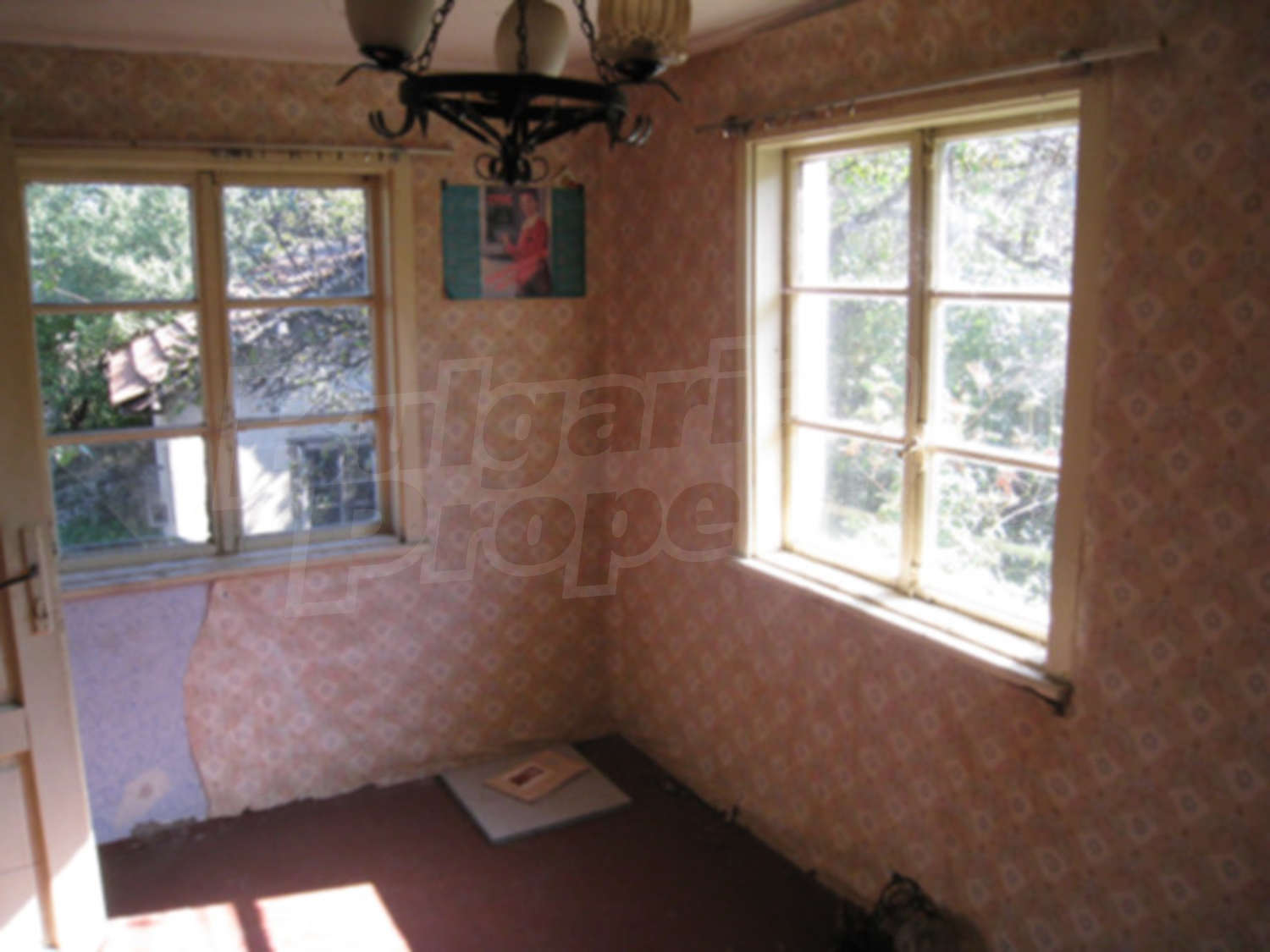 Gallery Picture 12
