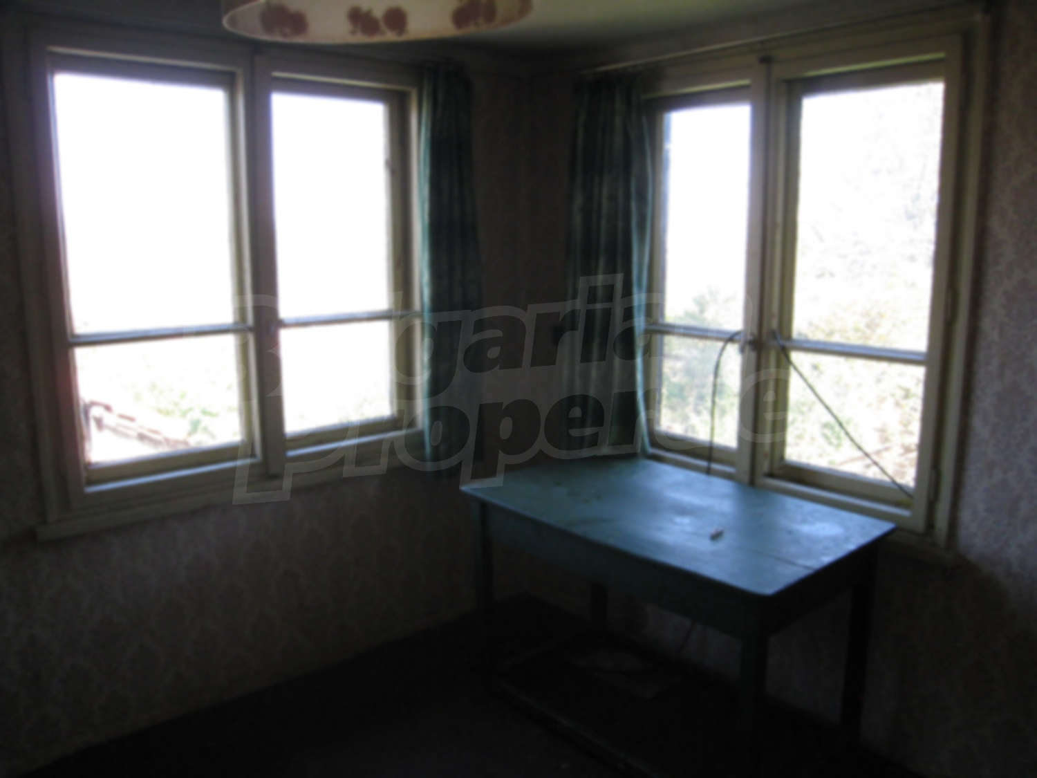 Gallery Picture 14