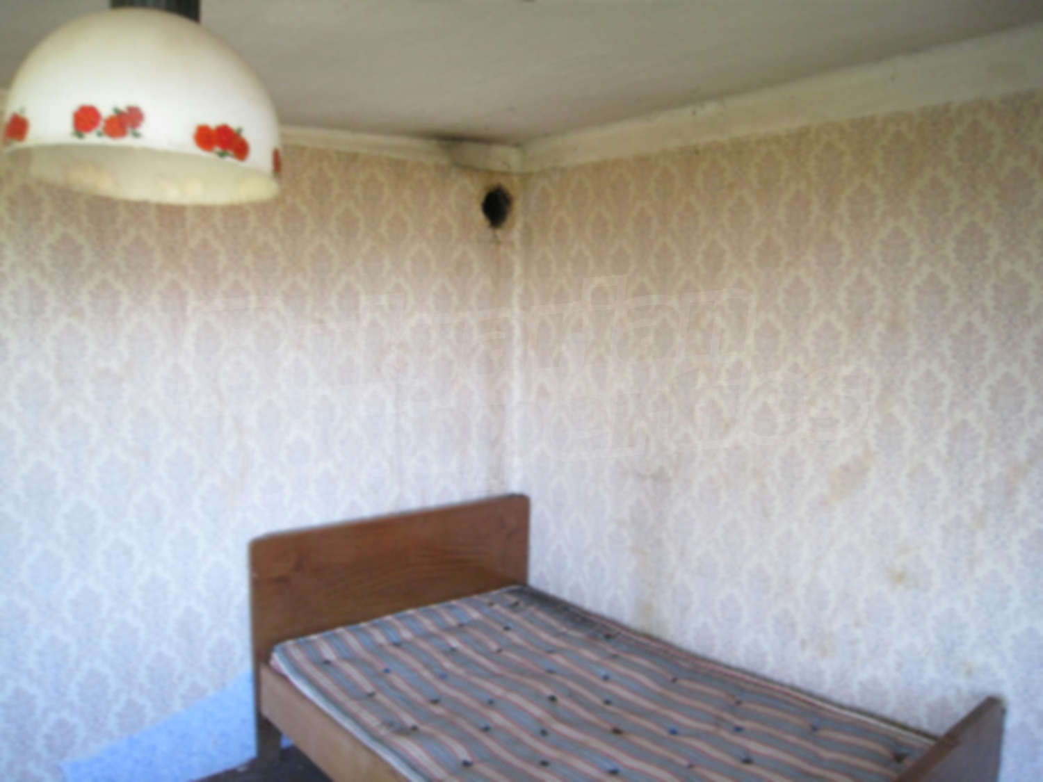 Gallery Picture 16