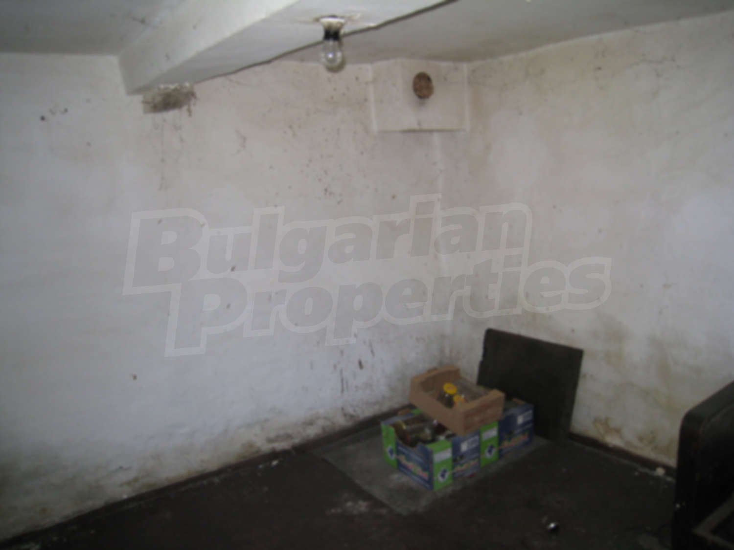 Gallery Picture 7