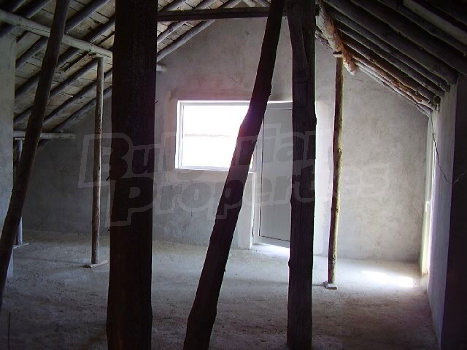 Gallery Picture 16