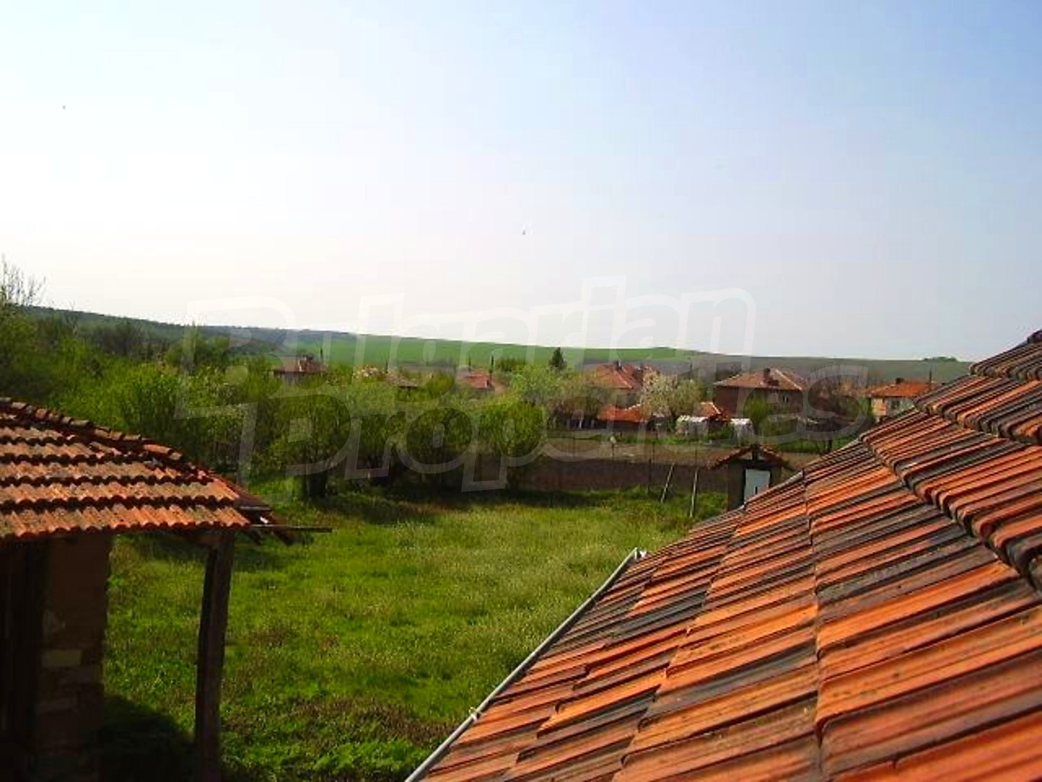 Gallery Picture 19