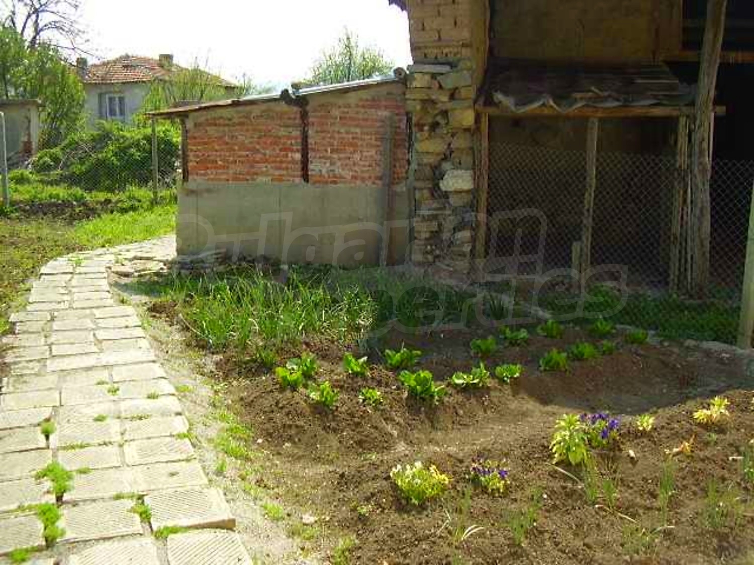 Gallery Picture 21