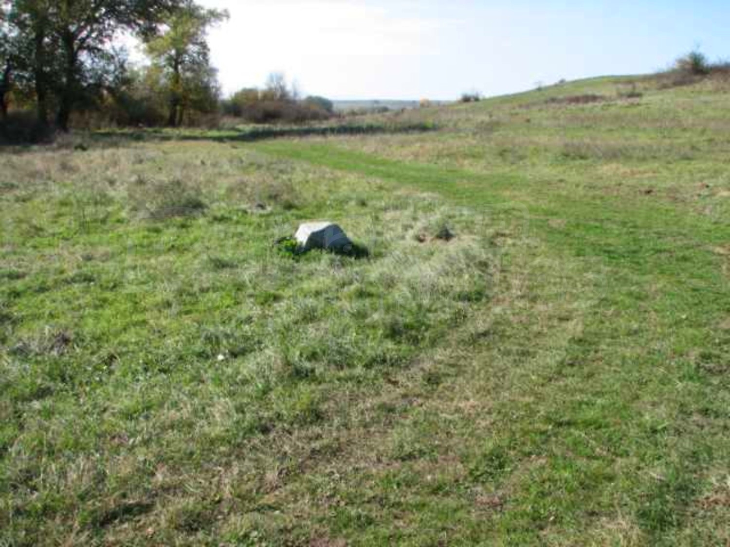 Gallery Picture 10