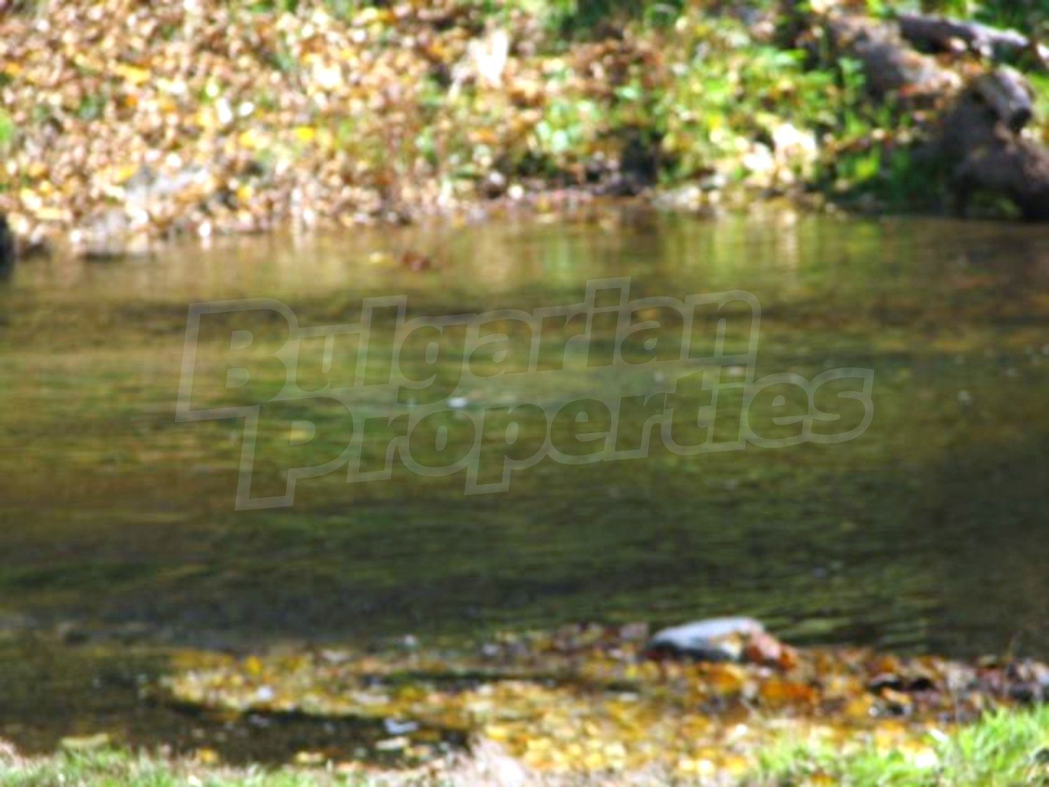 Gallery Picture 13
