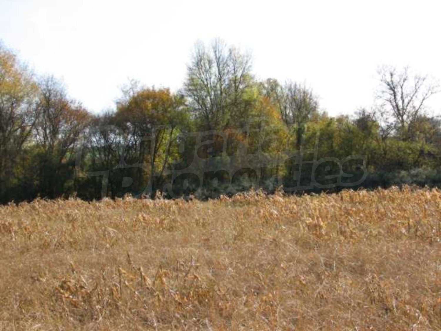 Gallery Picture 15
