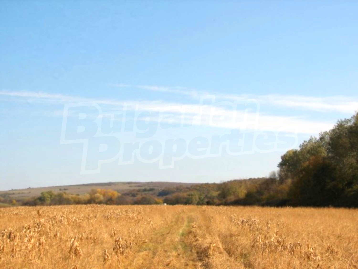 Gallery Picture 16
