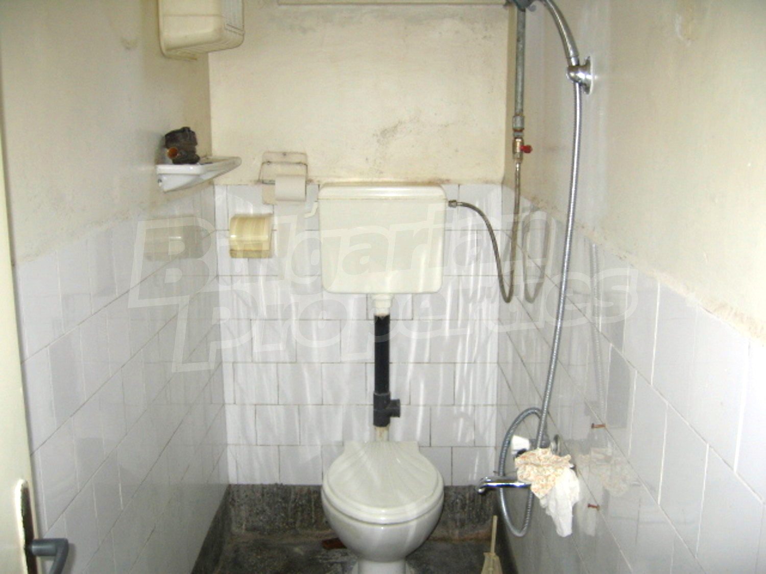 Gallery Picture 10