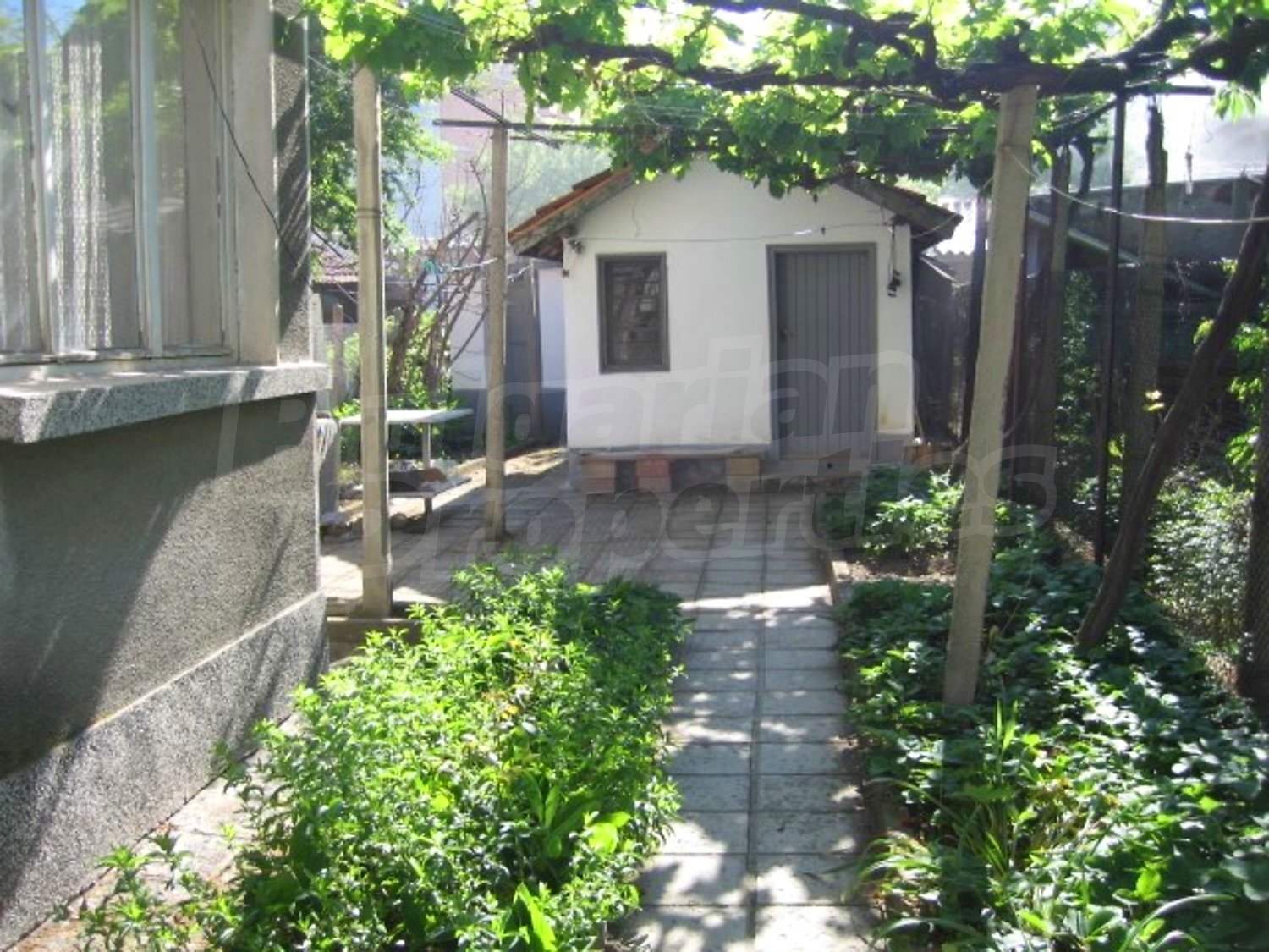 Gallery Picture 11