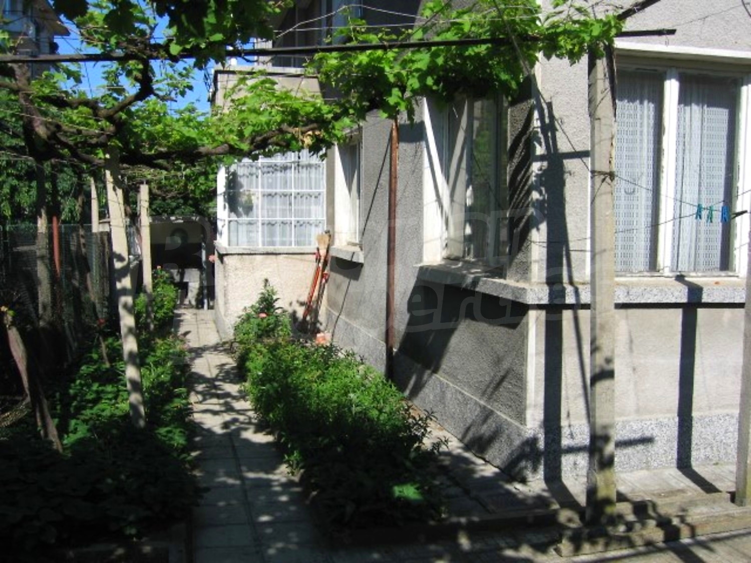 Gallery Picture 12