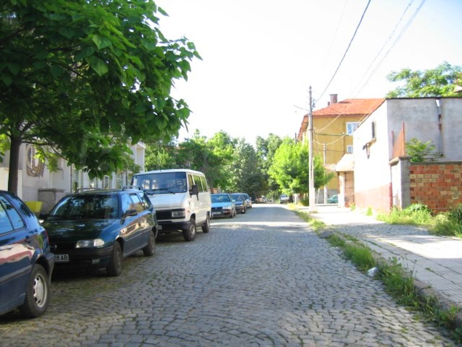 Gallery Picture 16