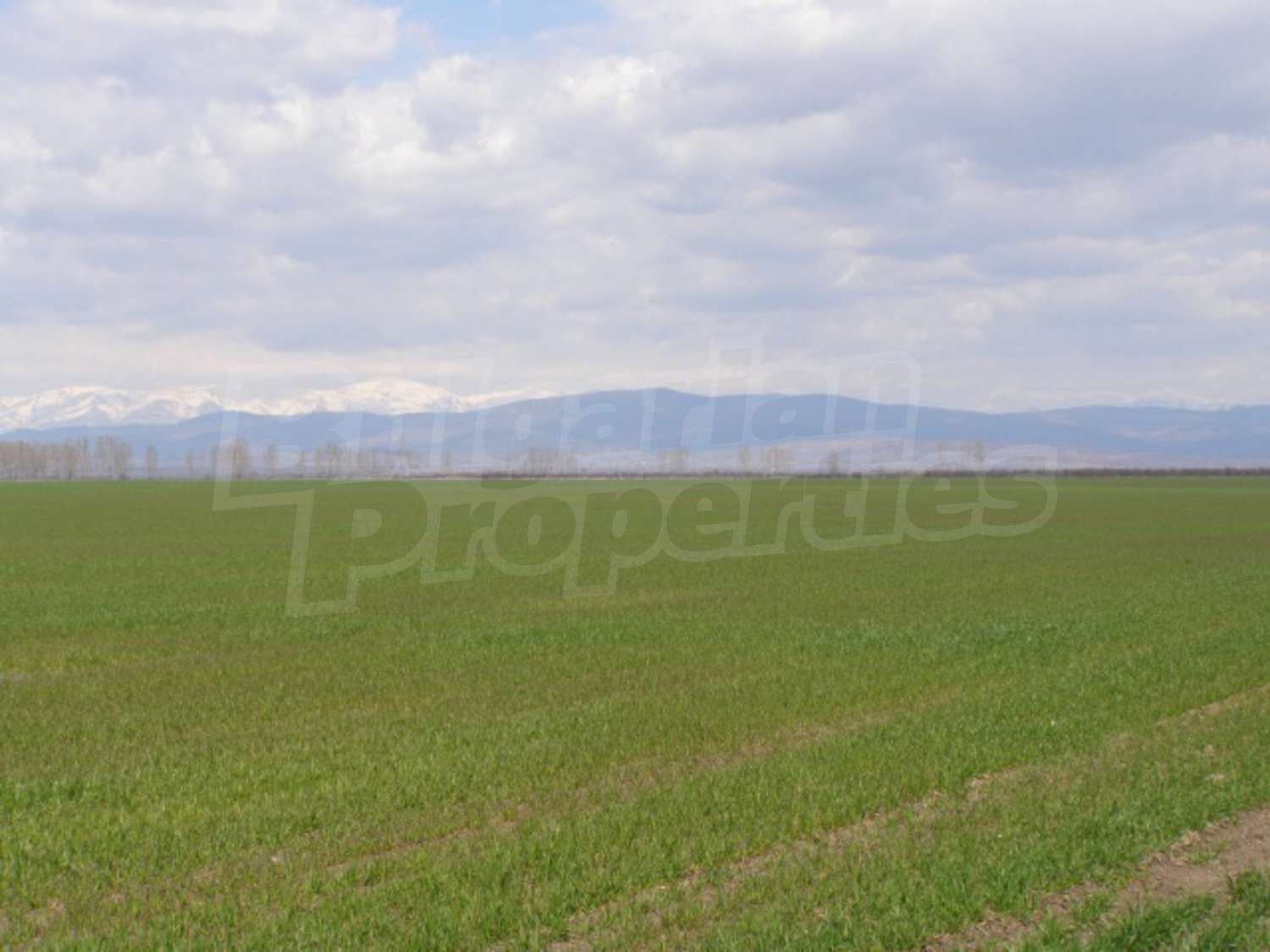 Gallery Picture 25