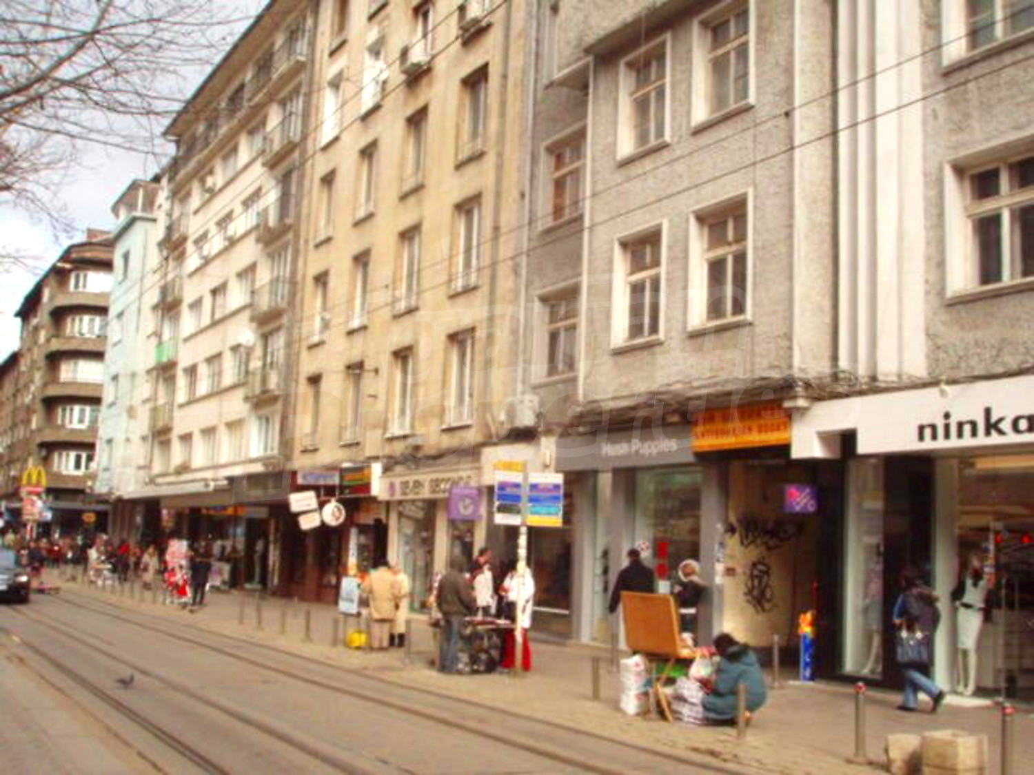 Gallery Picture 15