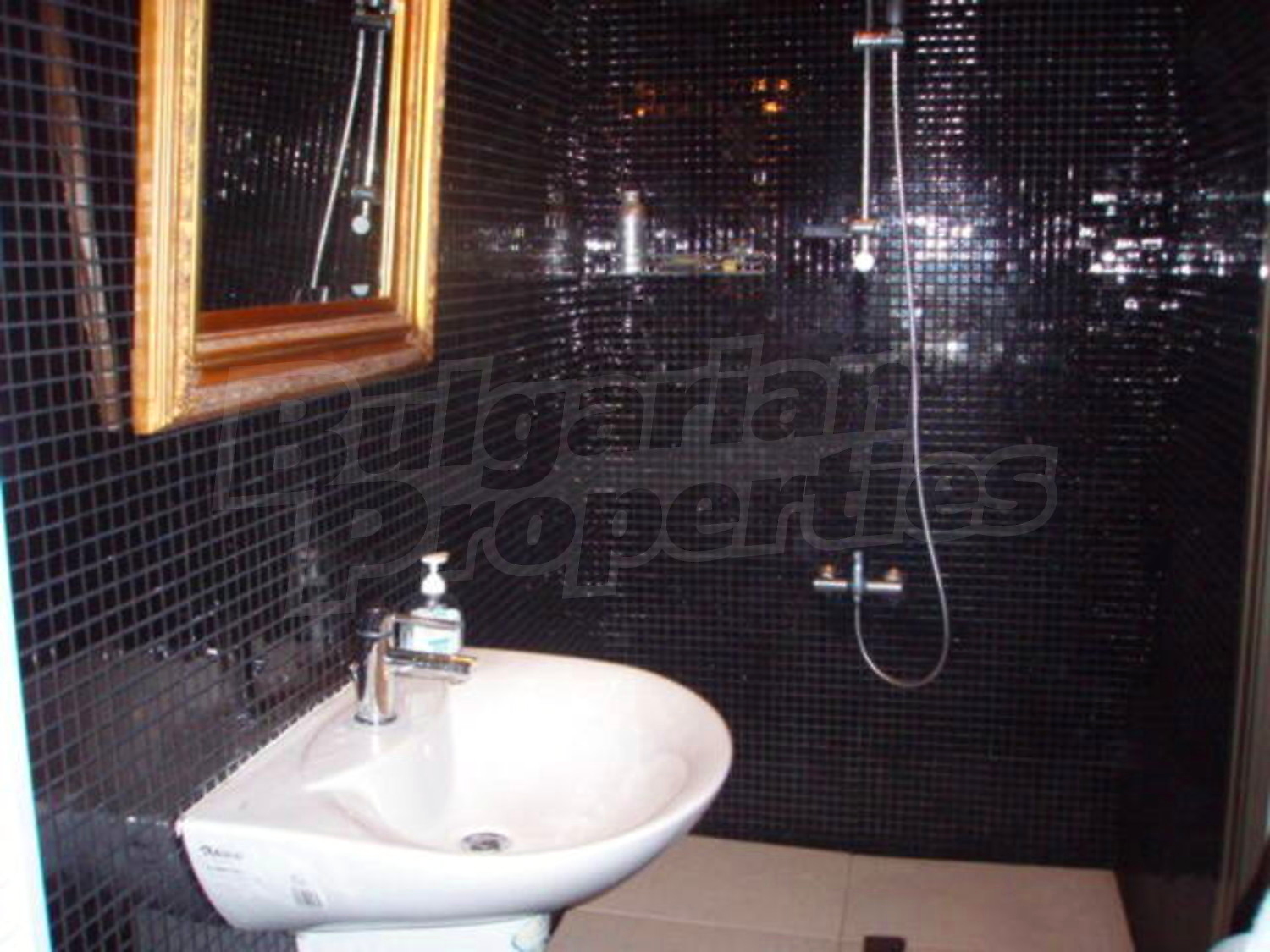 Gallery Picture 8