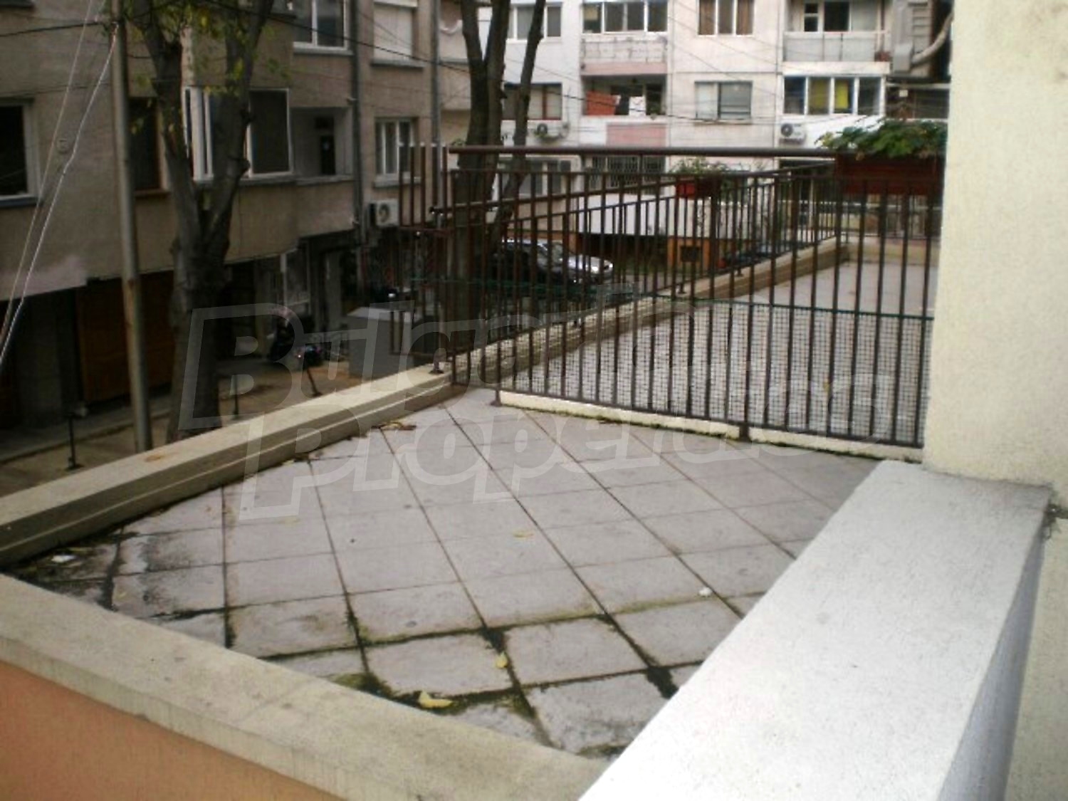 Gallery Picture 10