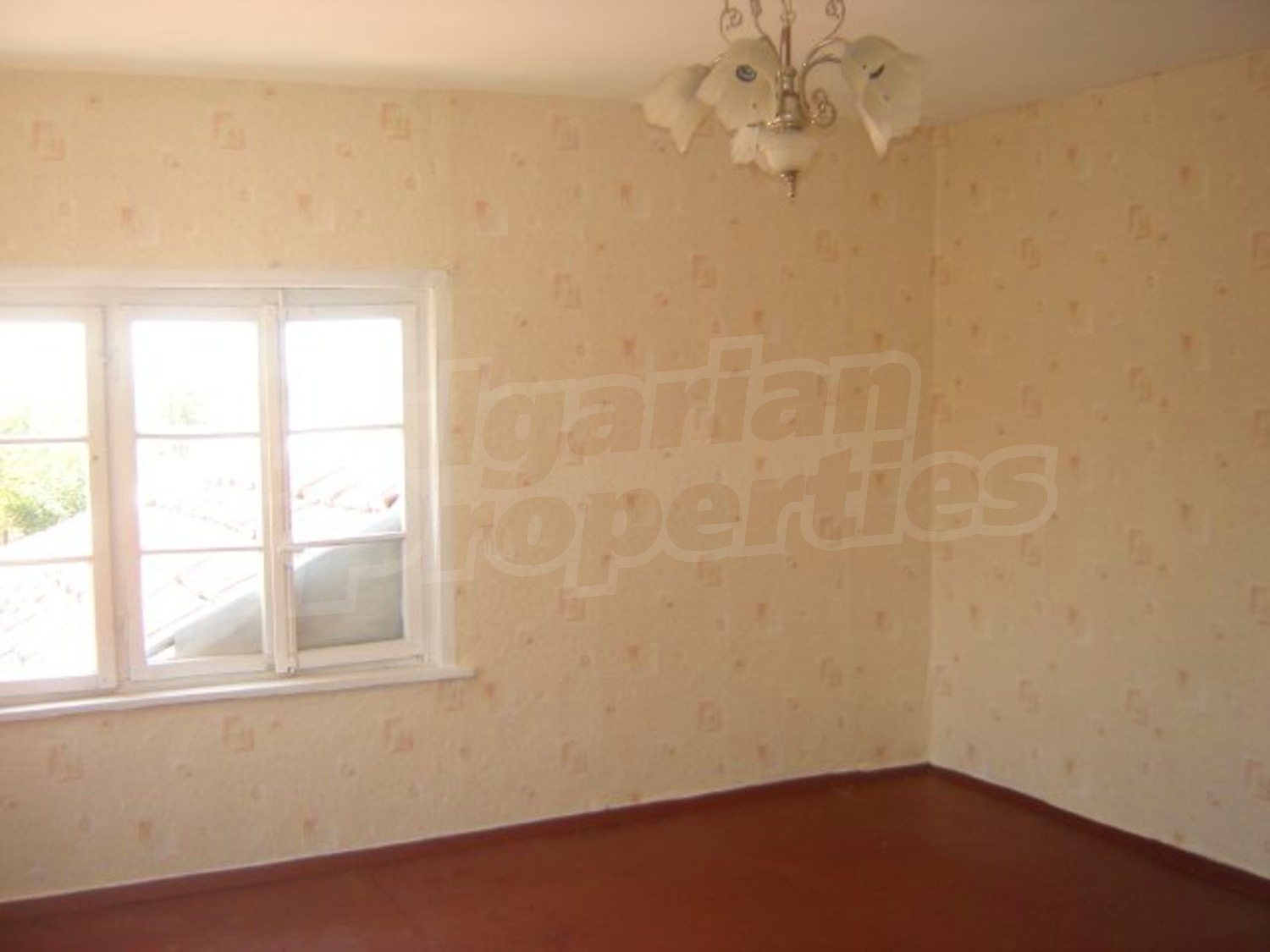 Gallery Picture 10