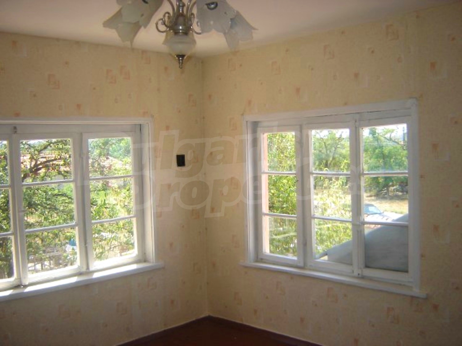 Gallery Picture 11