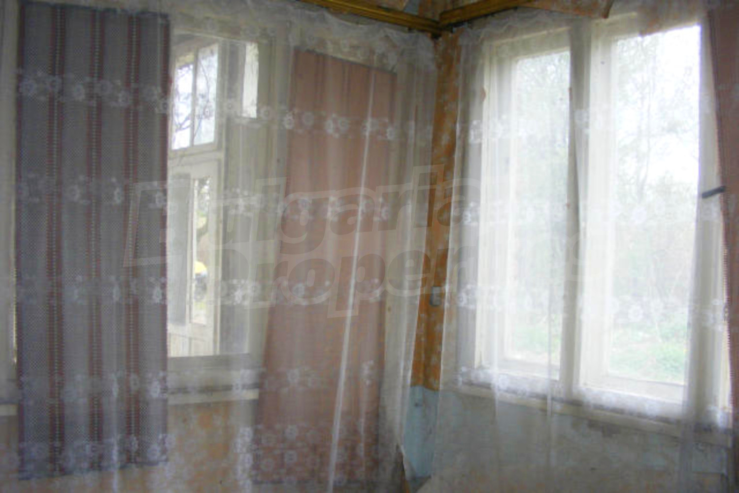 Gallery Picture 11