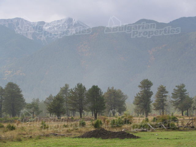 Gallery Picture 11