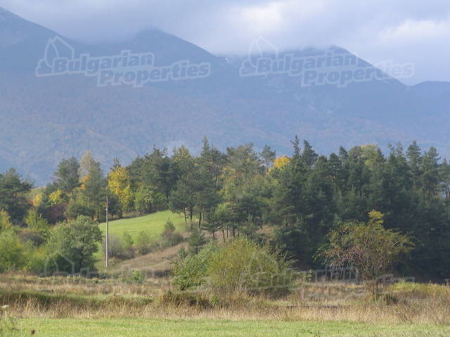Gallery Picture 12