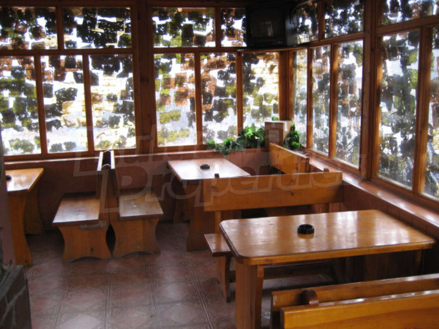 Gallery Picture 13