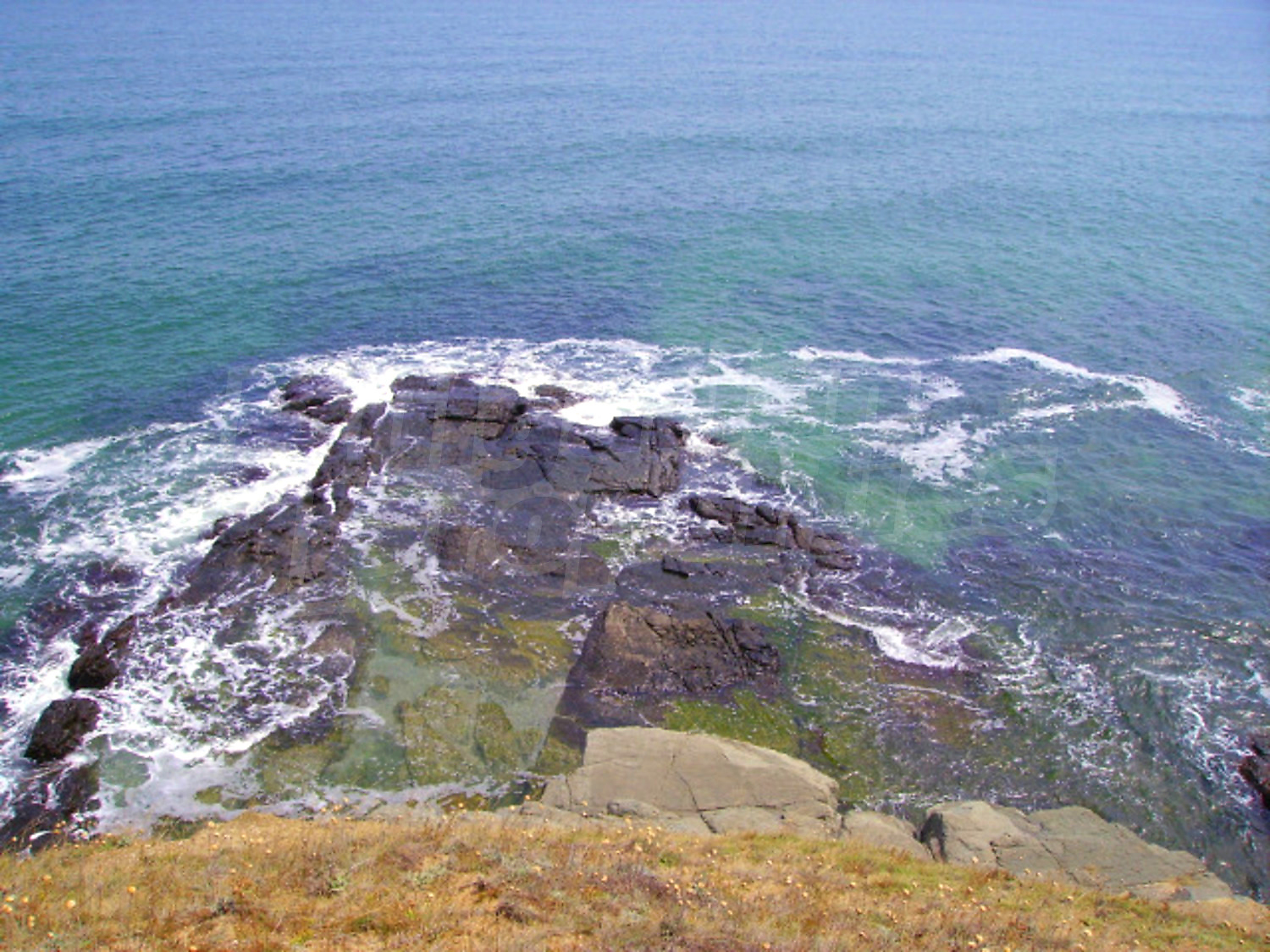 Gallery Picture 10