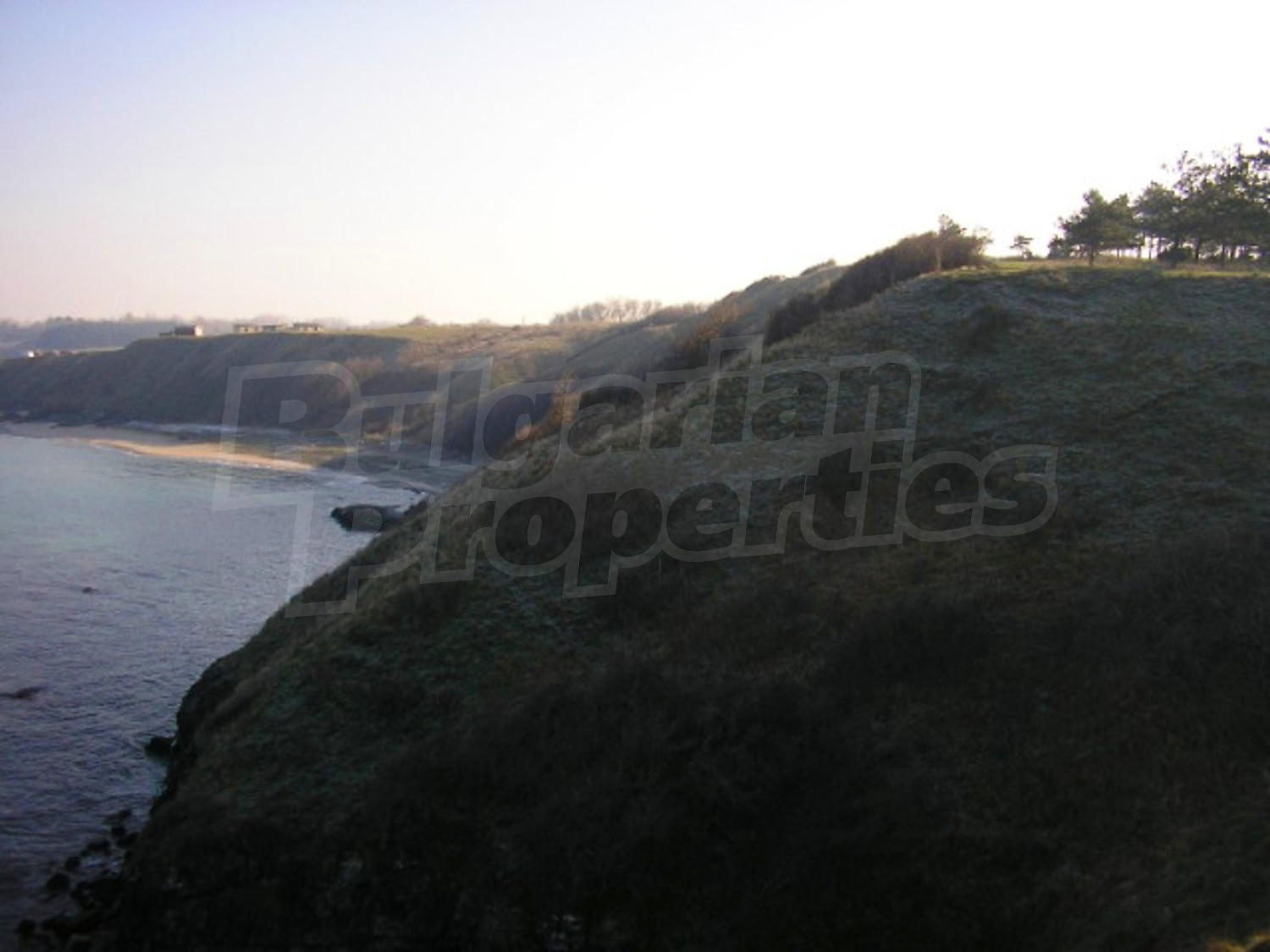 Gallery Picture 5