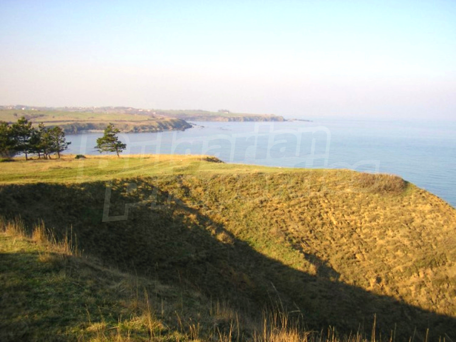 Gallery Picture 7