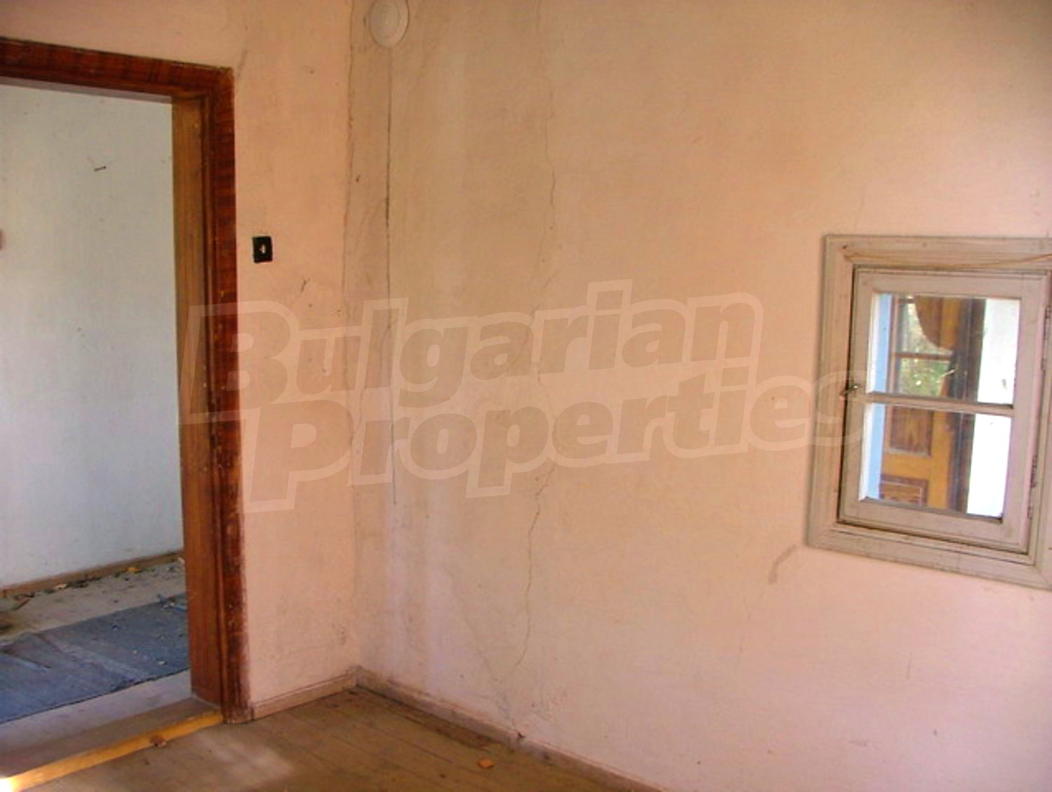 Gallery Picture 11