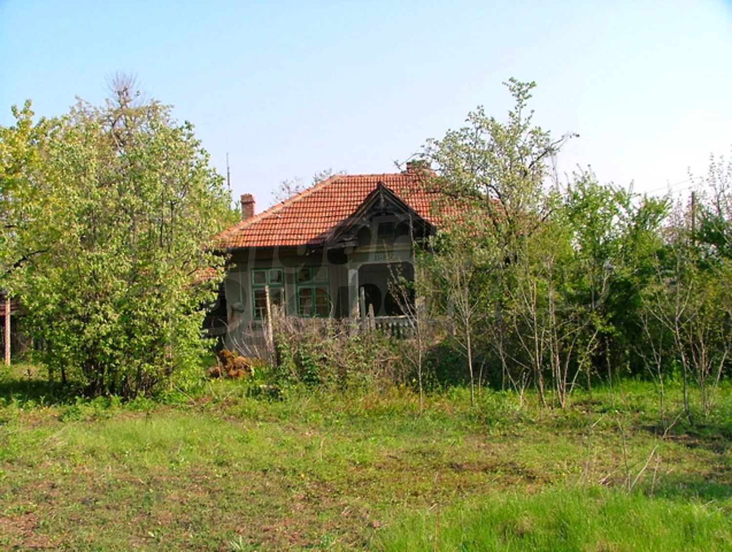 Gallery Picture 15