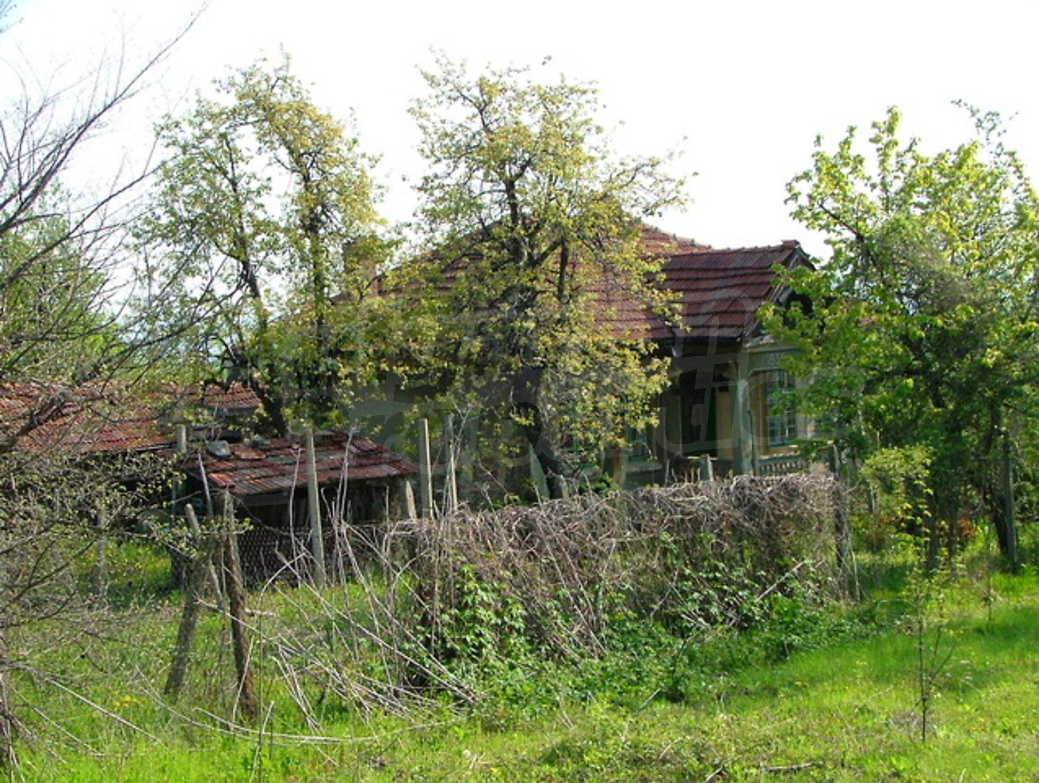 Gallery Picture 16