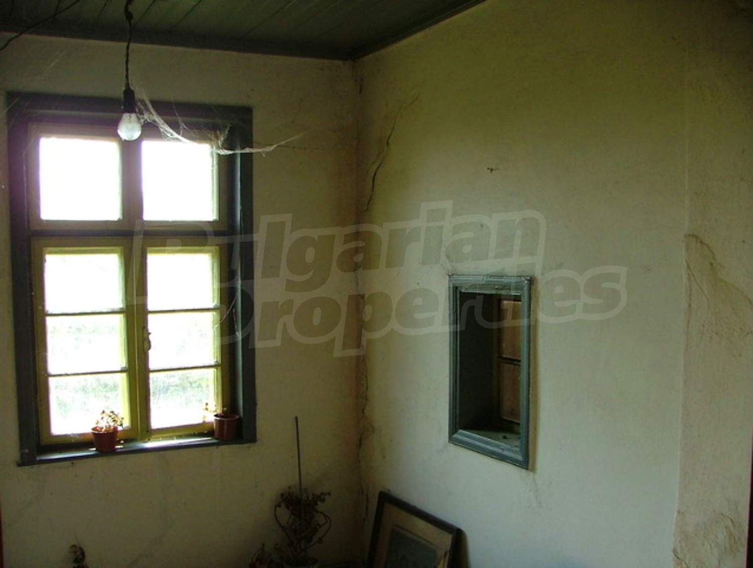 Gallery Picture 8
