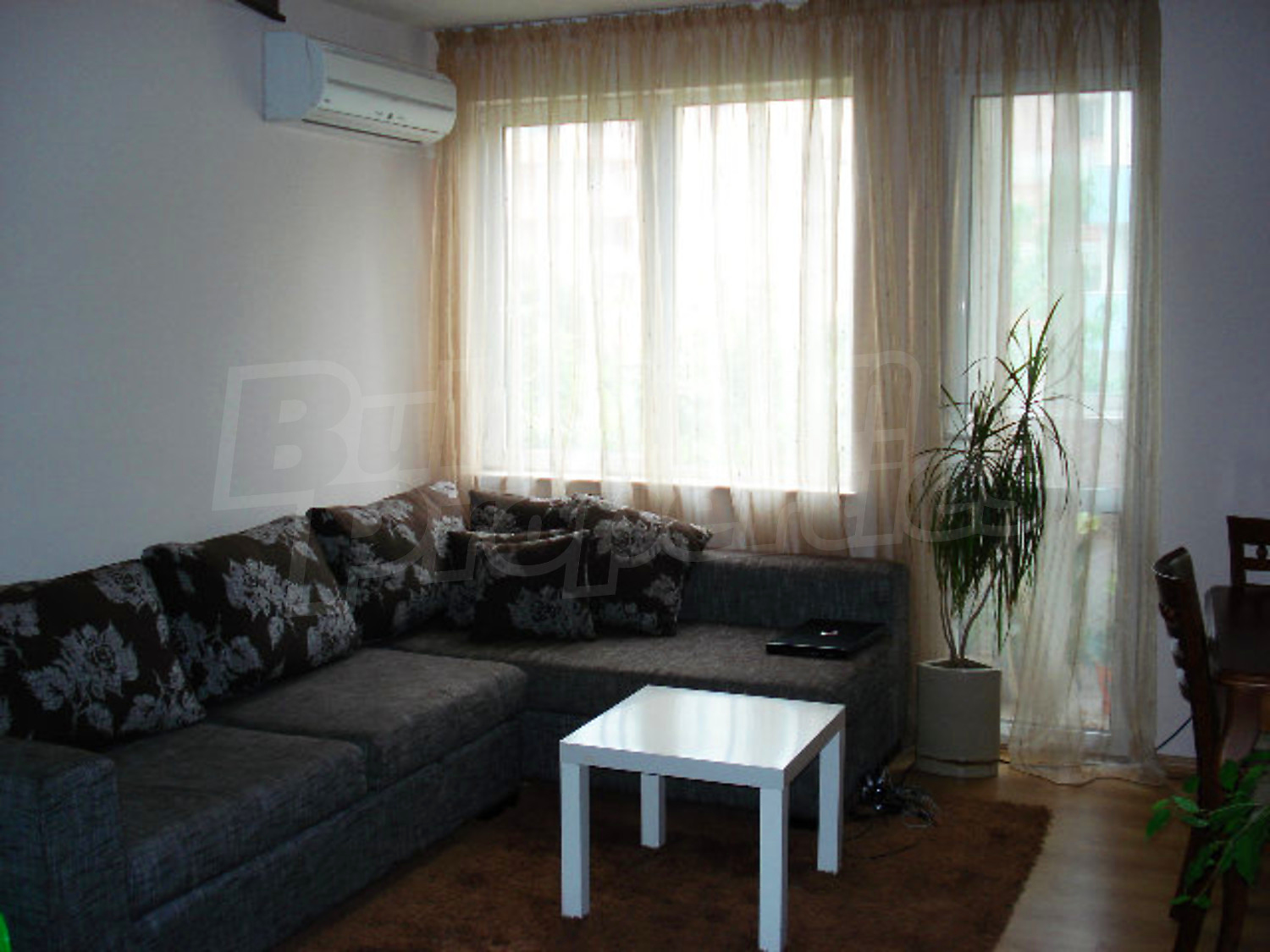 Gallery Picture 9