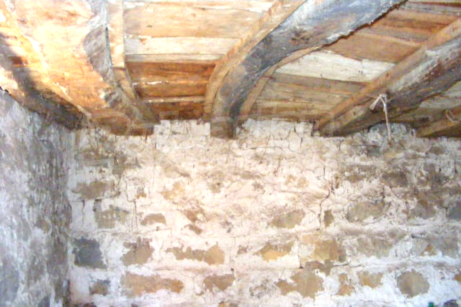 Gallery Picture 11