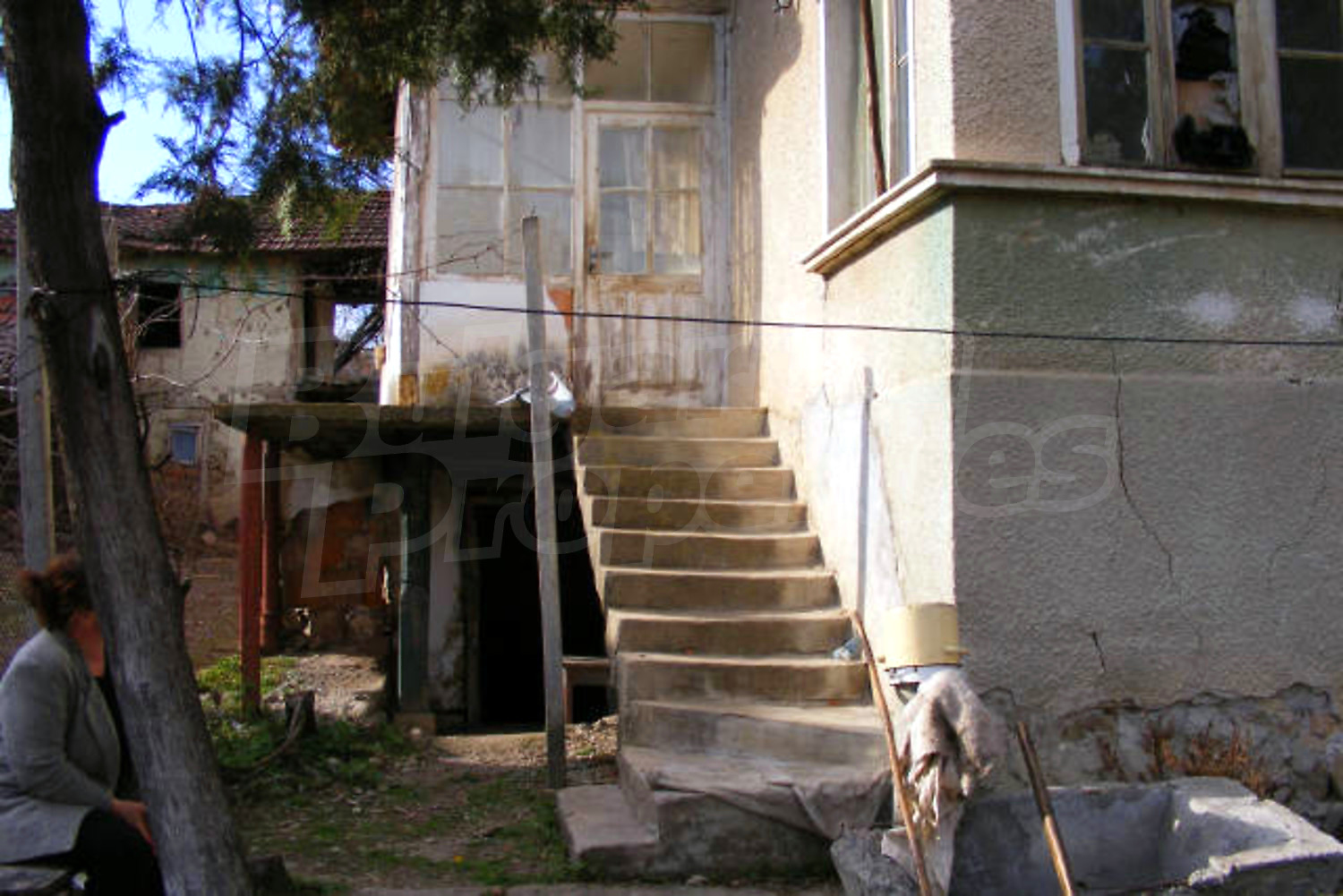 Gallery Picture 12
