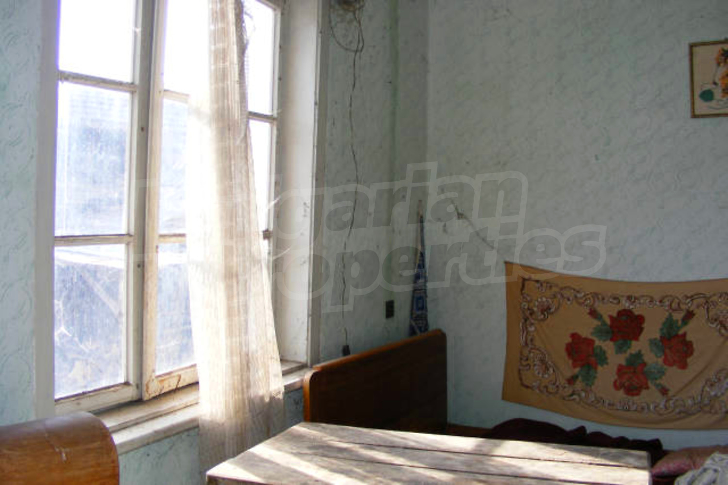 Gallery Picture 5