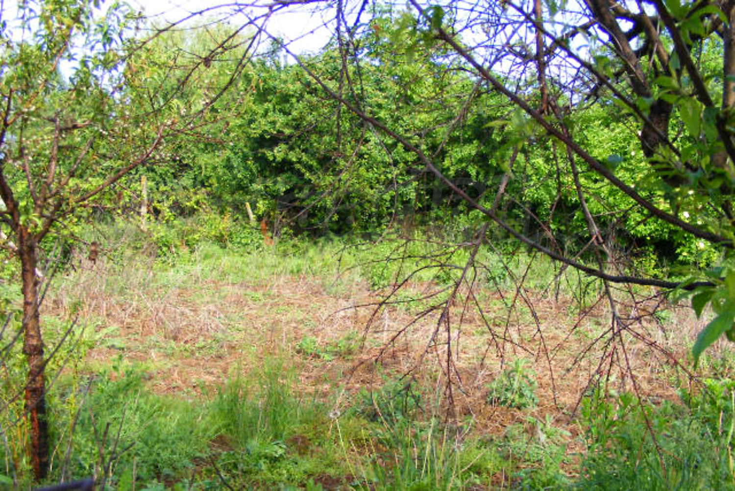 Gallery Picture 11