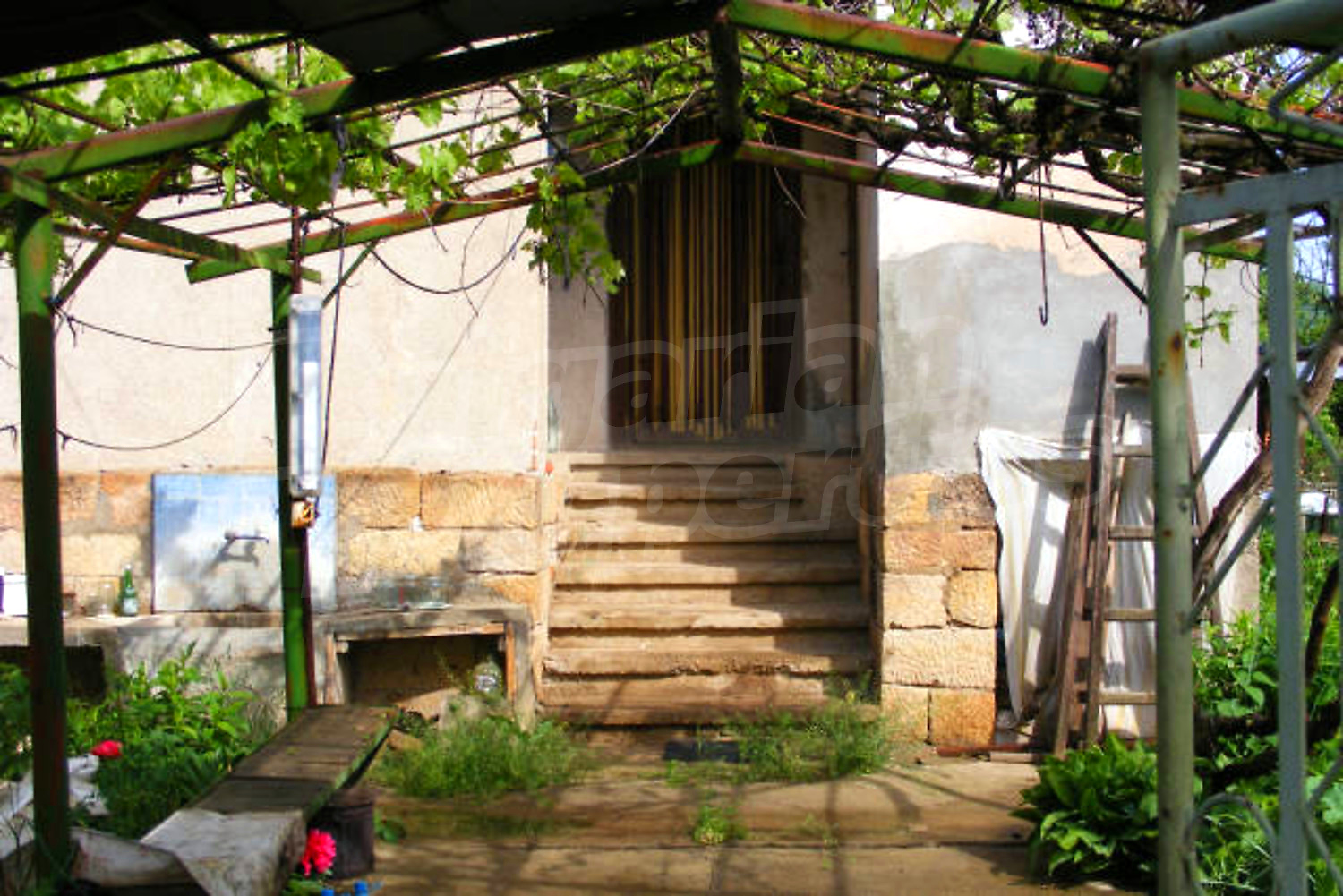 Gallery Picture 5