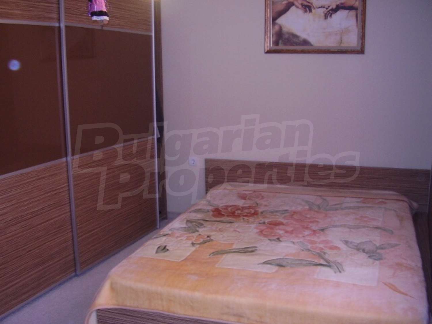 Gallery Picture 14