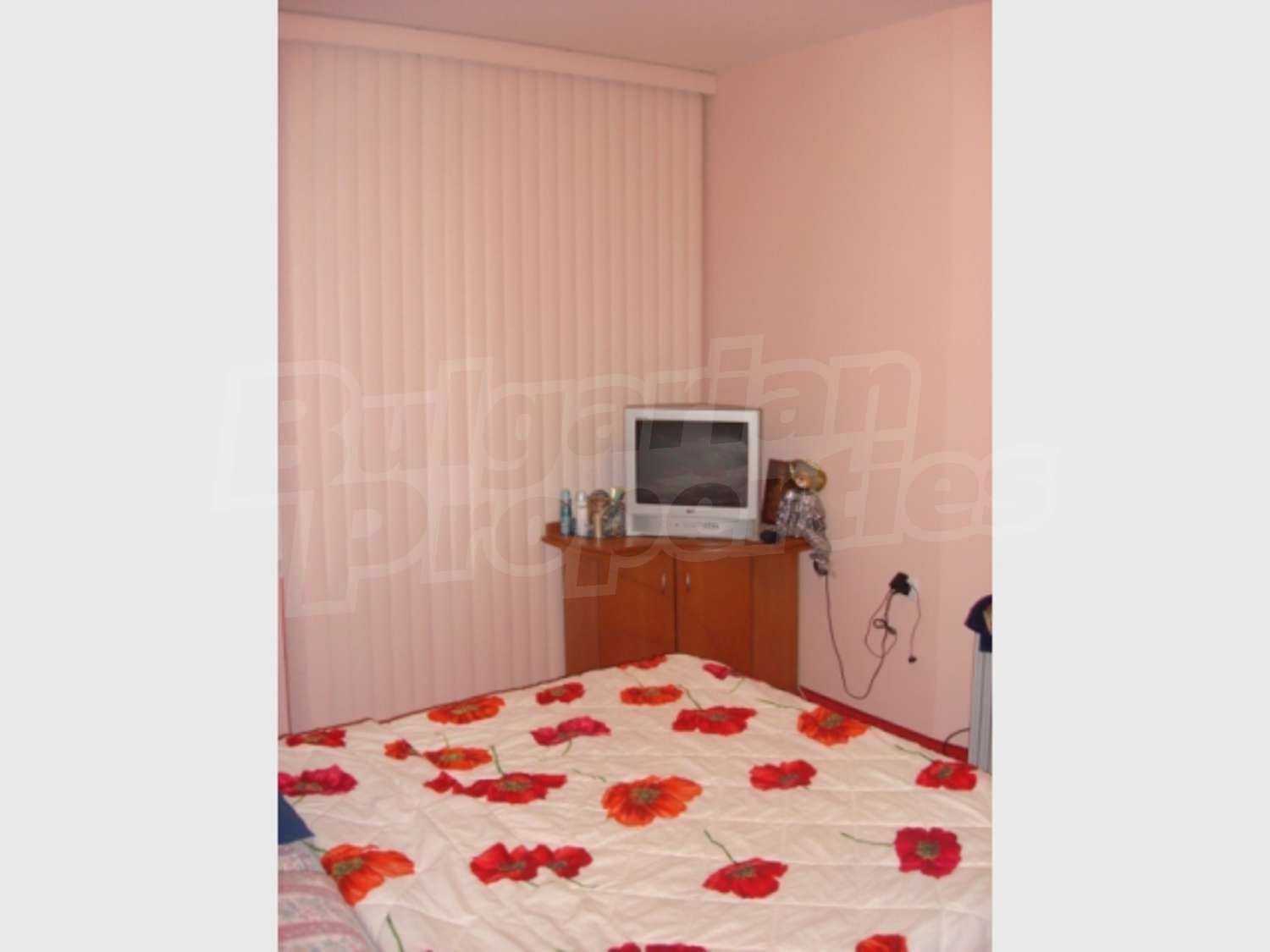 Gallery Picture 19