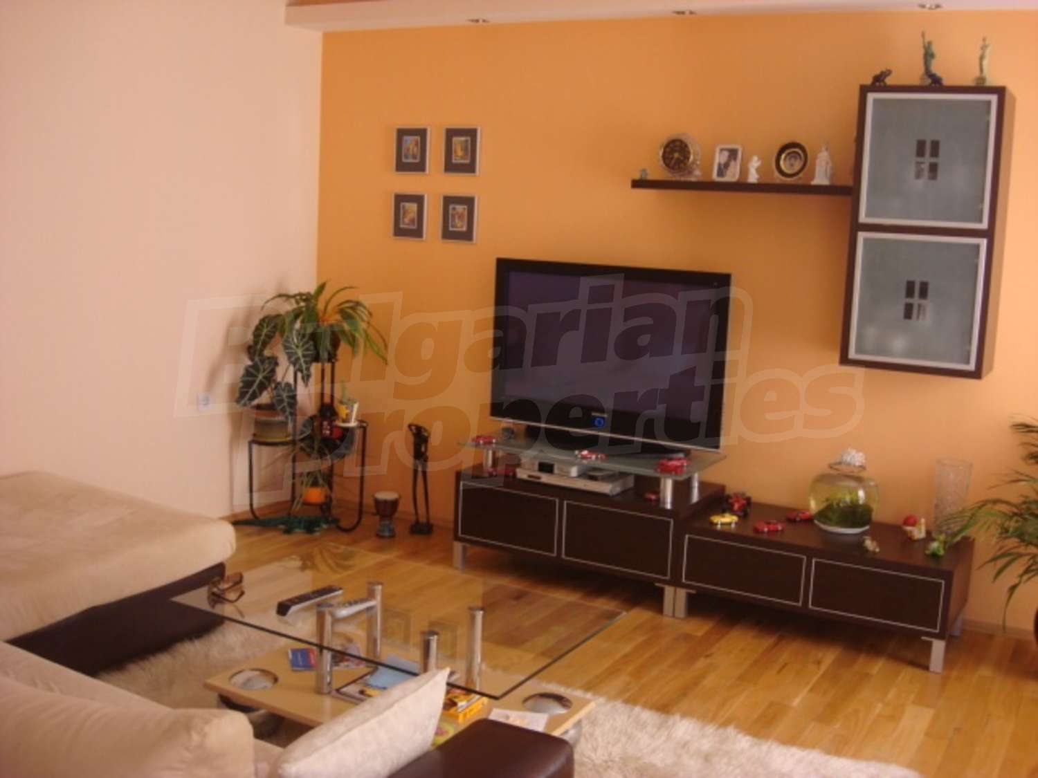 Gallery Picture 2